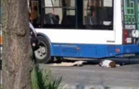 Ultima Oră // Șoferița troleibuzului care a lovit mortal o fetiță a fost eliberată din penitenciar